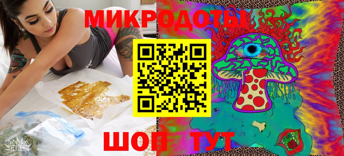 Псилоцибиновые грибы Psilocybe Серпухов